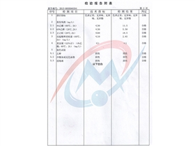 产品检验报告2-赛普